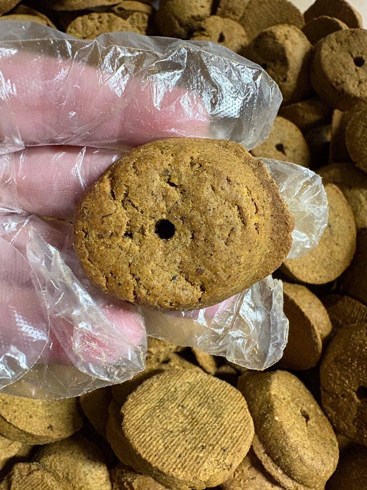Tasty Meatloaf Crunchy Dog Treats – Wholesome Flavor in Every Bite | BeyondWhiskers-2