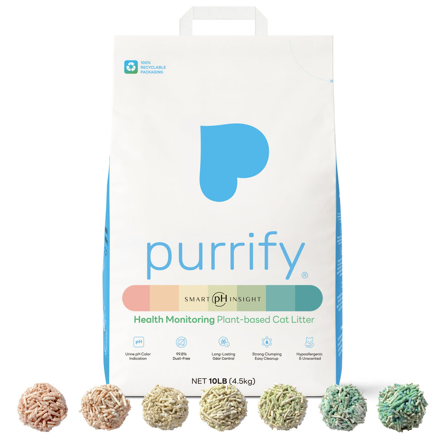 Purrify Insight Litter