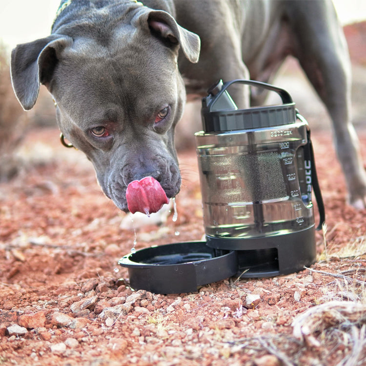 Large Dog Travel Water Bowl Dispenser-0