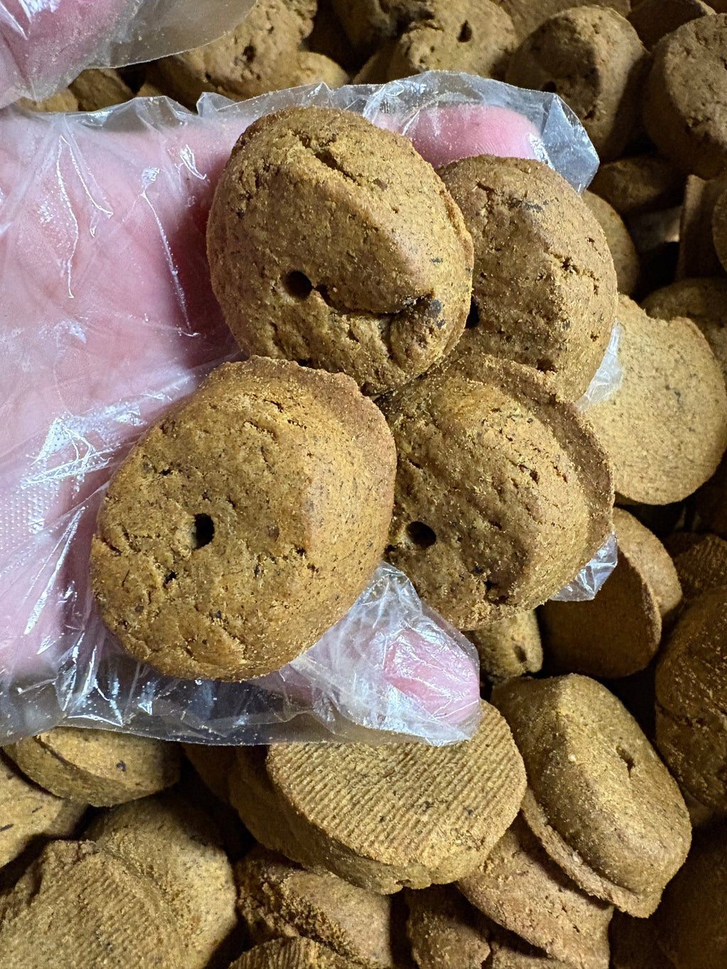 Tasty Meatloaf Crunchy Dog Treats – Wholesome Flavor in Every Bite | BeyondWhiskers-1