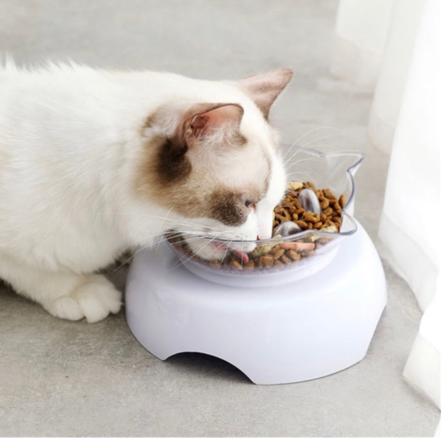 Slow Feeder Bowl