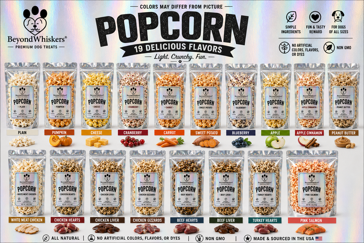 Dog Popcorn Treats (Pupcorn) – Light & Crunchy Dog Snack-2
