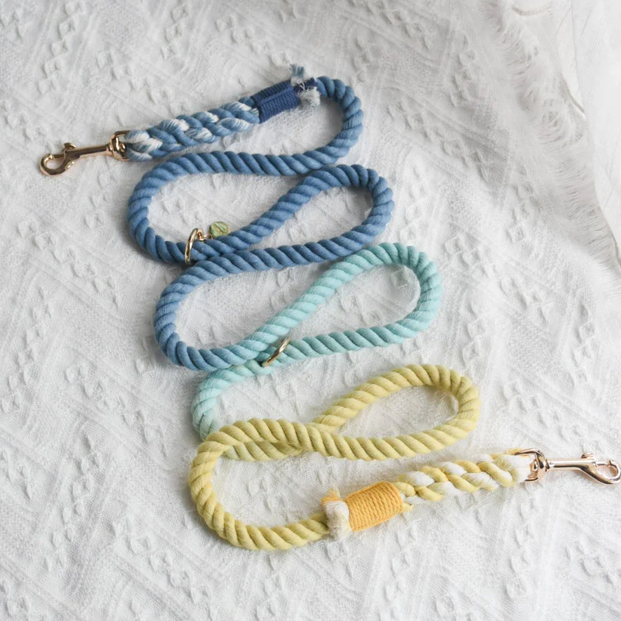 Hands Free Rope Leash