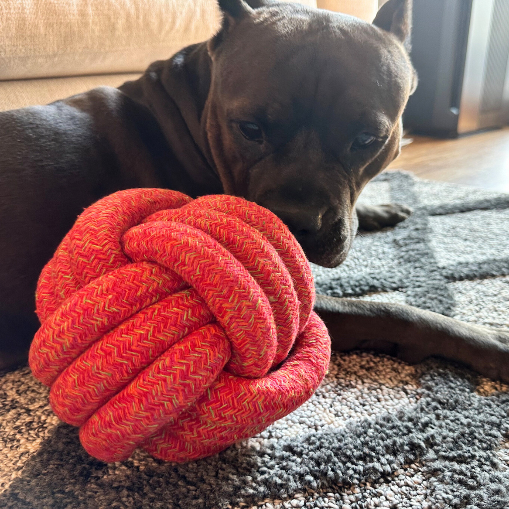 The Sunshine Red Collection of Jumbo Rope Ball Toy-2