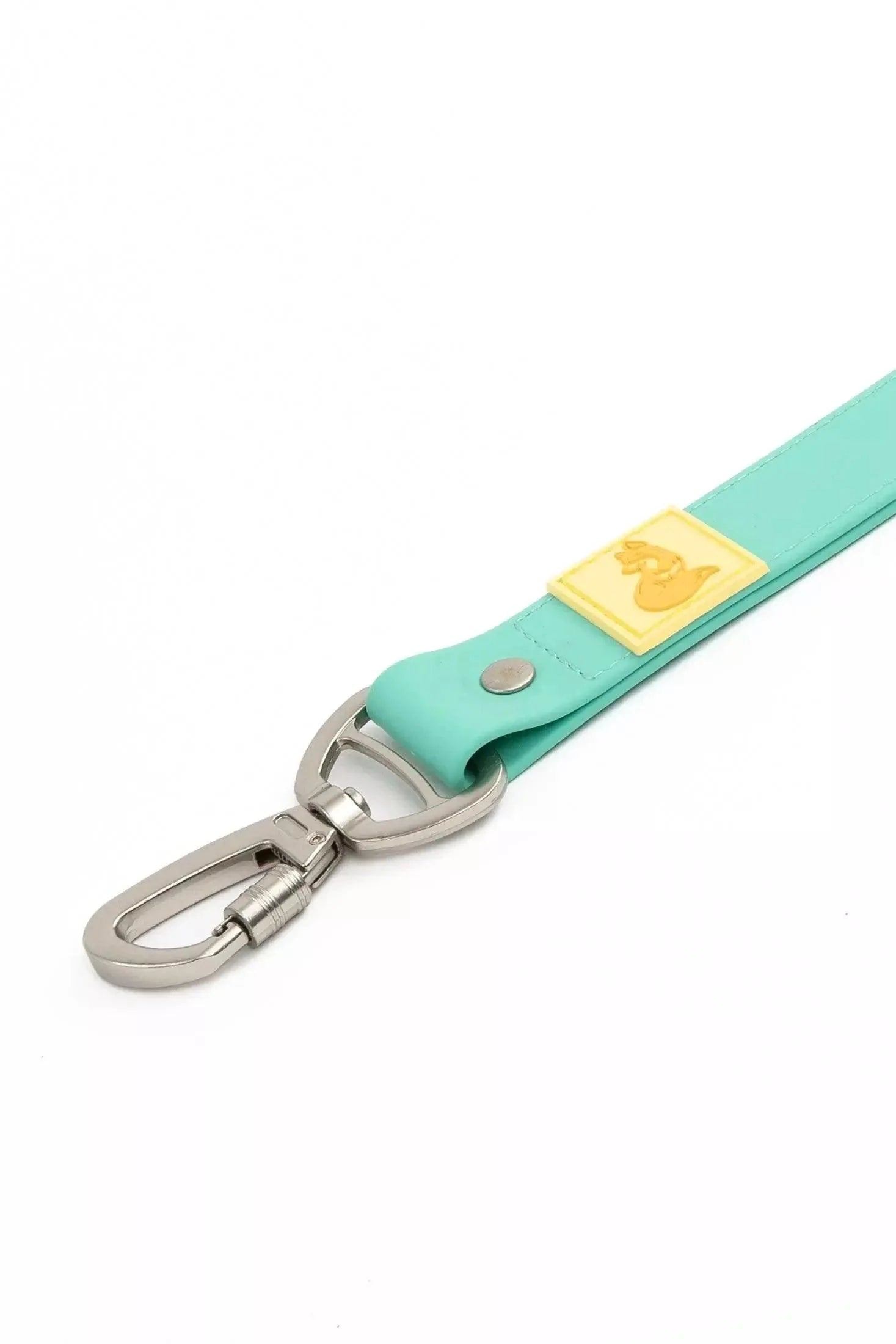 Island Vibes Leash