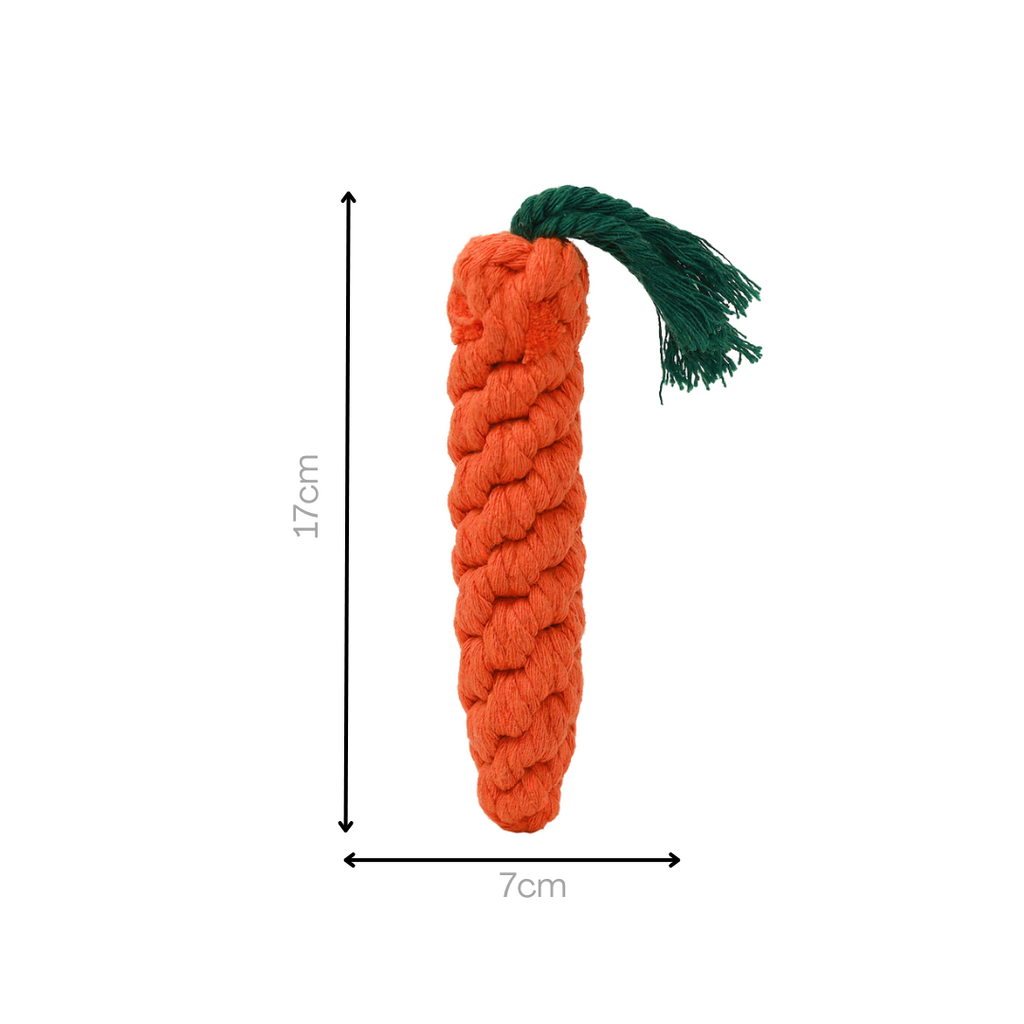 Monli Large Orange Carrot-2