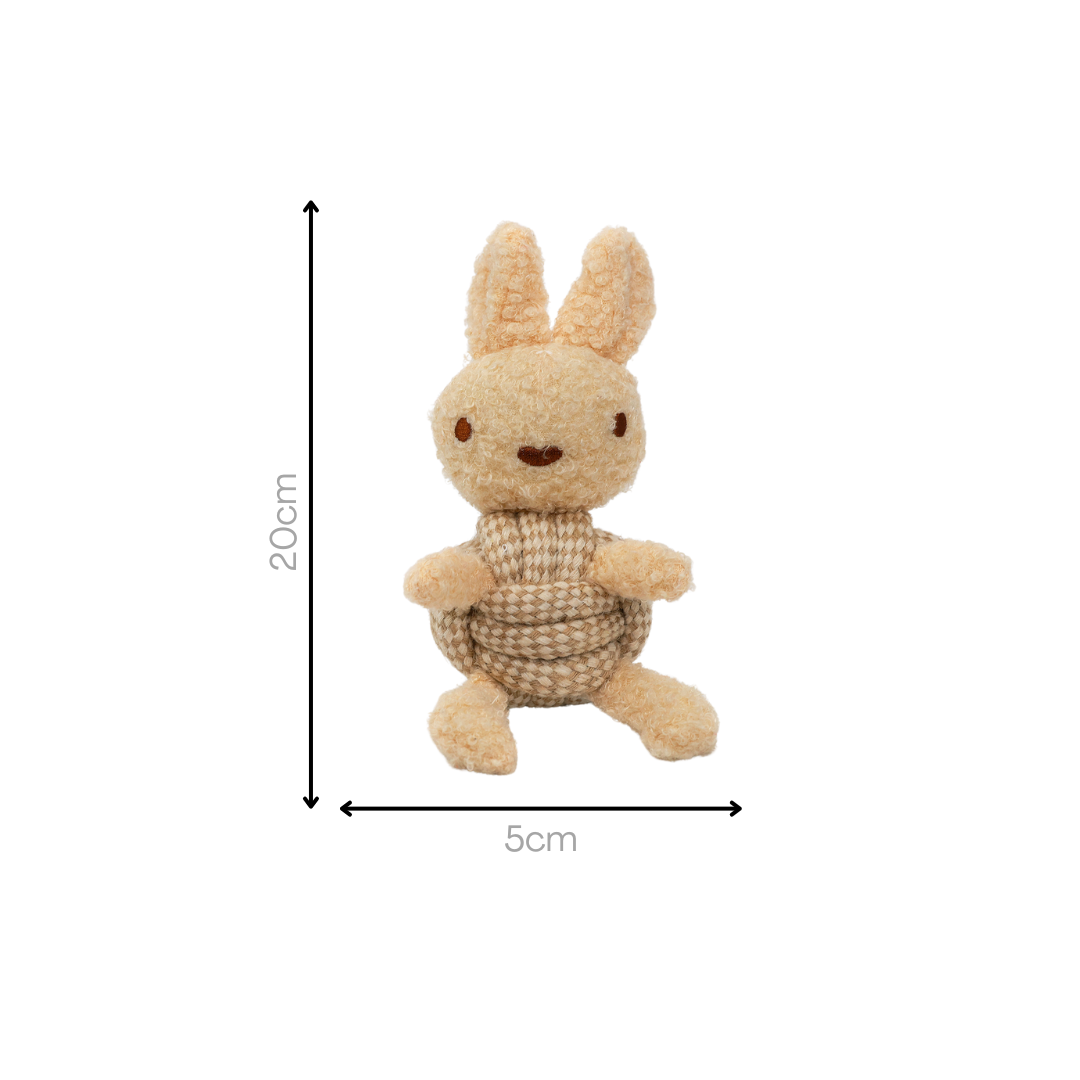 Squeaky Rope Buddies-7