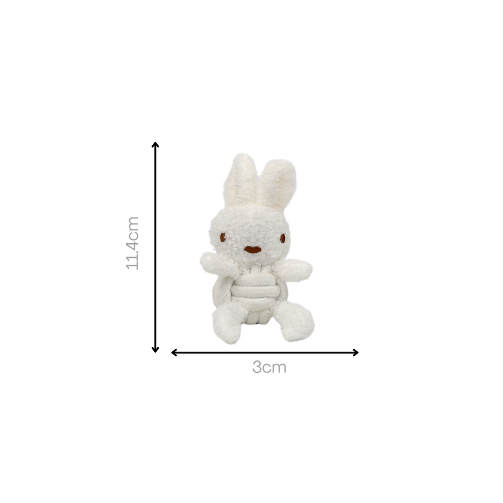 Squeaky Rope Buddies-5