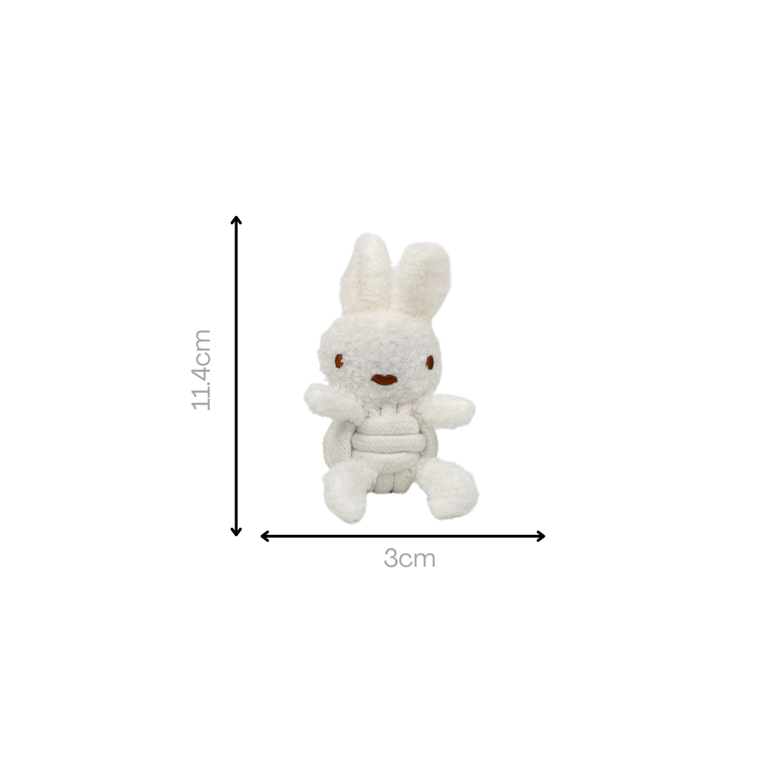 Squeaky Rope Buddies-5