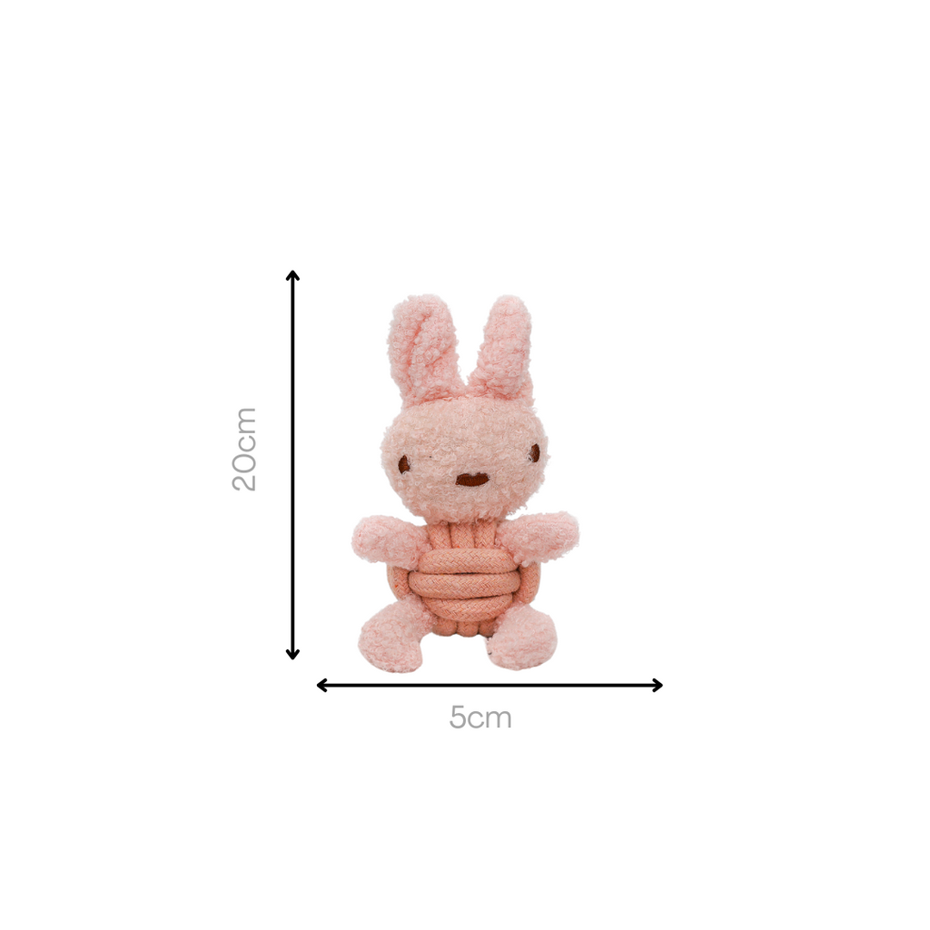 Squeaky Rope Buddies-6