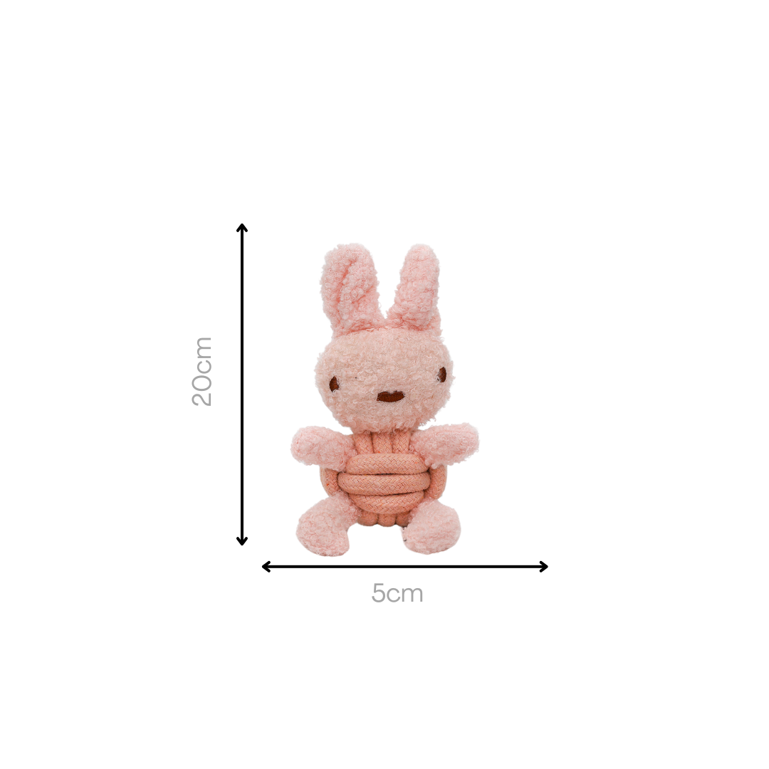 Squeaky Rope Buddies-6