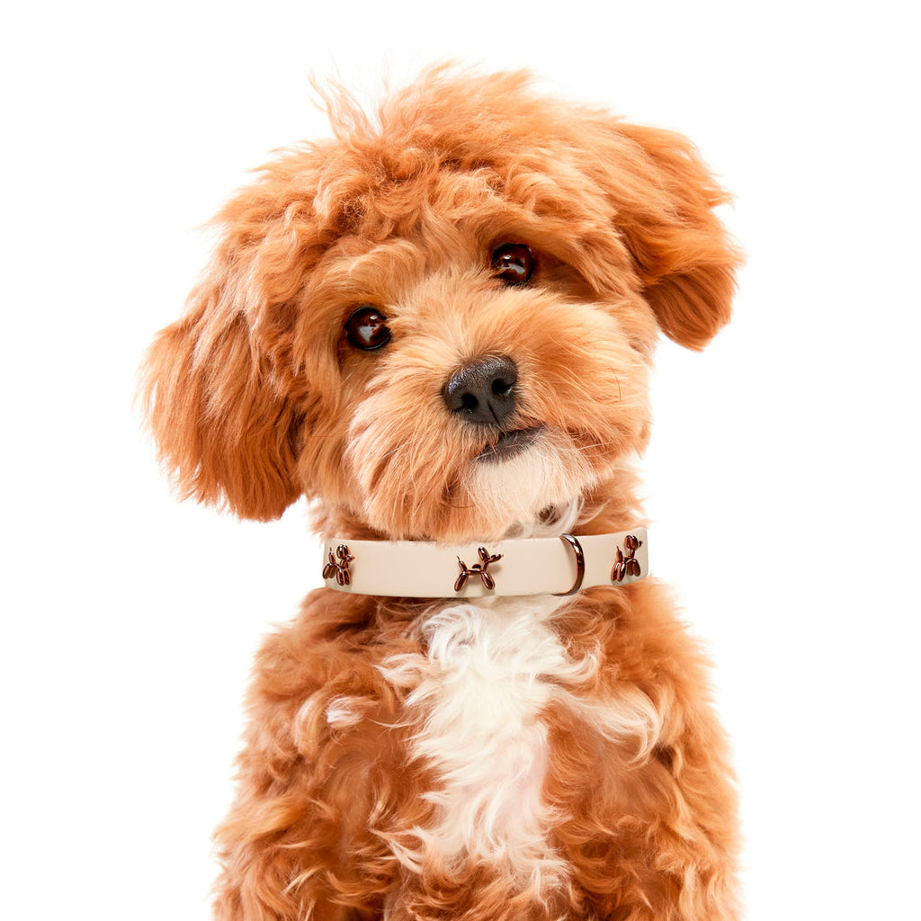 Ballon Collar