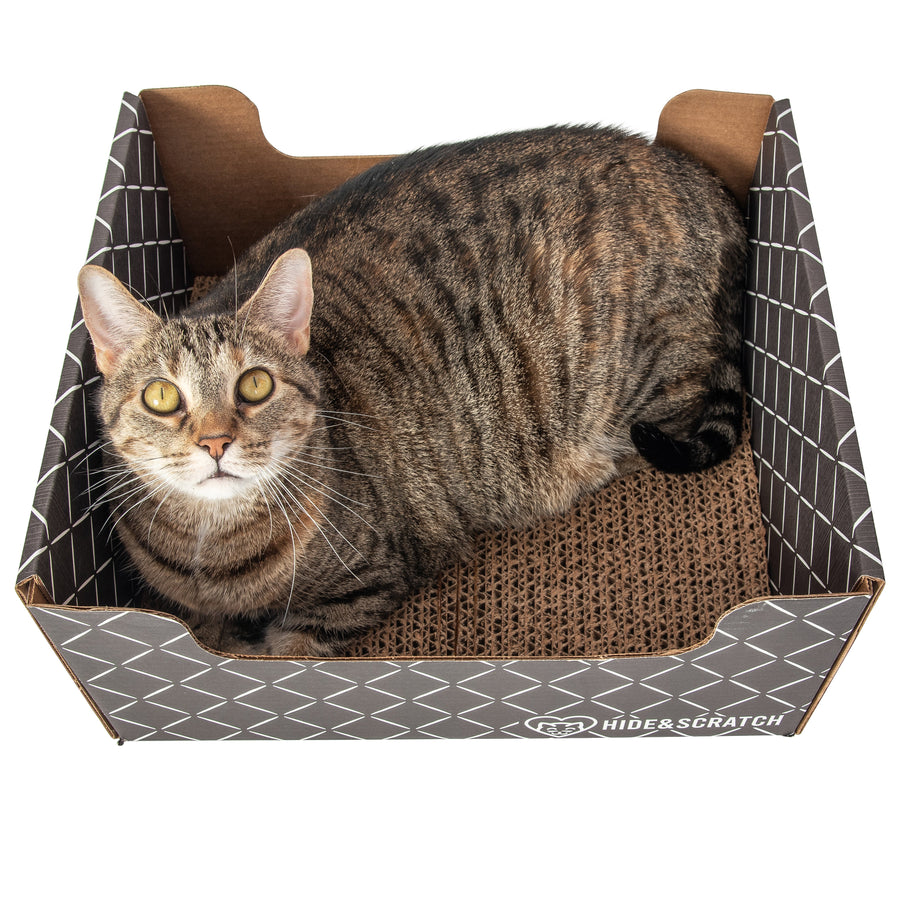 Scratch Box Lounger