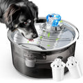 2.6Gal/10L Dog Water Fountain for Dogs & Cats & Multiple Pets D2340-0
