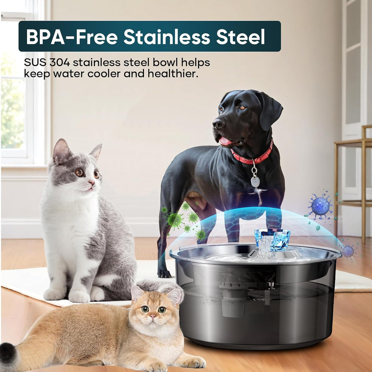 2.6Gal/10L Dog Water Fountain for Dogs & Cats & Multiple Pets D2340-3