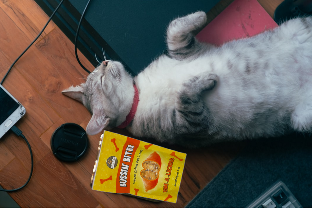 Single Ingredient, High Value Freeze-Dried Training Treats for Dogs & Cats - Sweet Potato-3