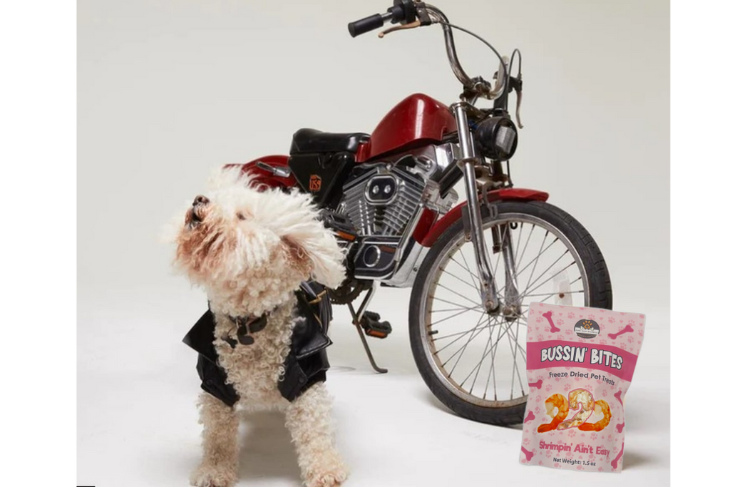 Single Ingredient, High Value Freeze-Dried Training Treats for Dogs & Cats - Shrimp-3