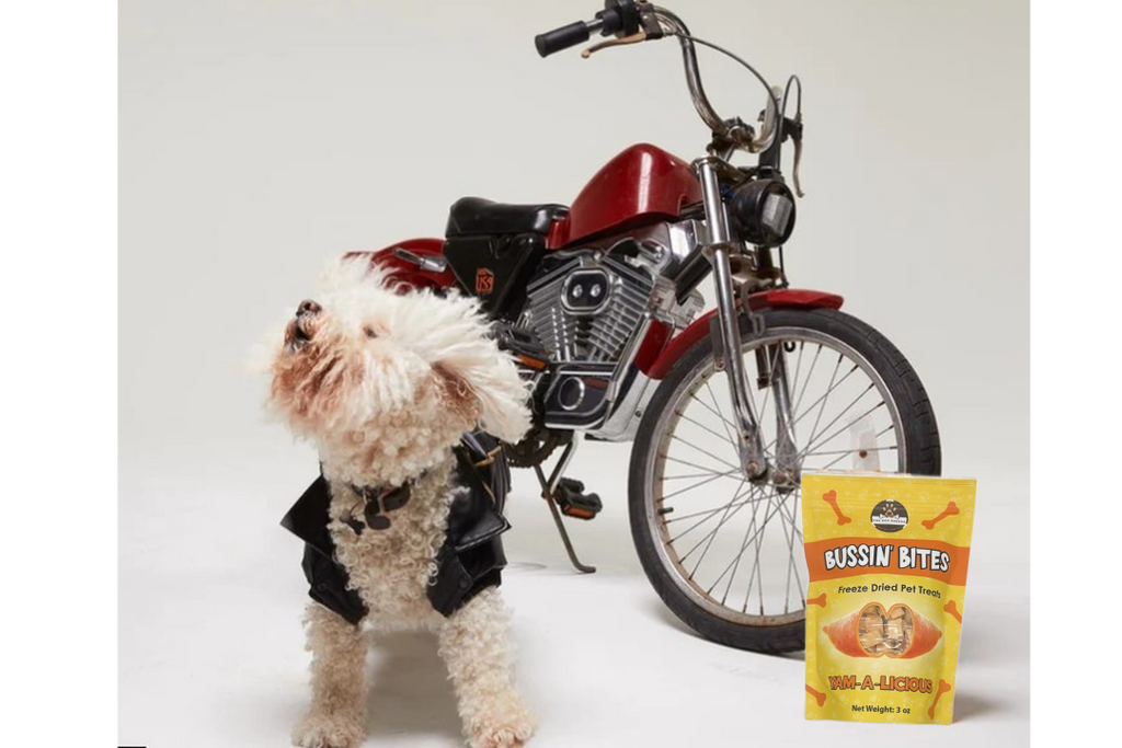 Single Ingredient, High Value Freeze-Dried Training Treats for Dogs & Cats - Sweet Potato-4