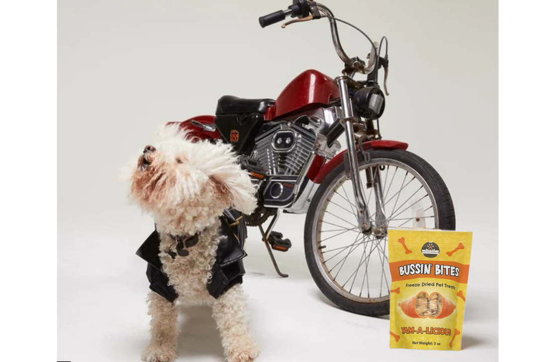 Single Ingredient, High Value Freeze-Dried Training Treats for Dogs & Cats - Sweet Potato-4
