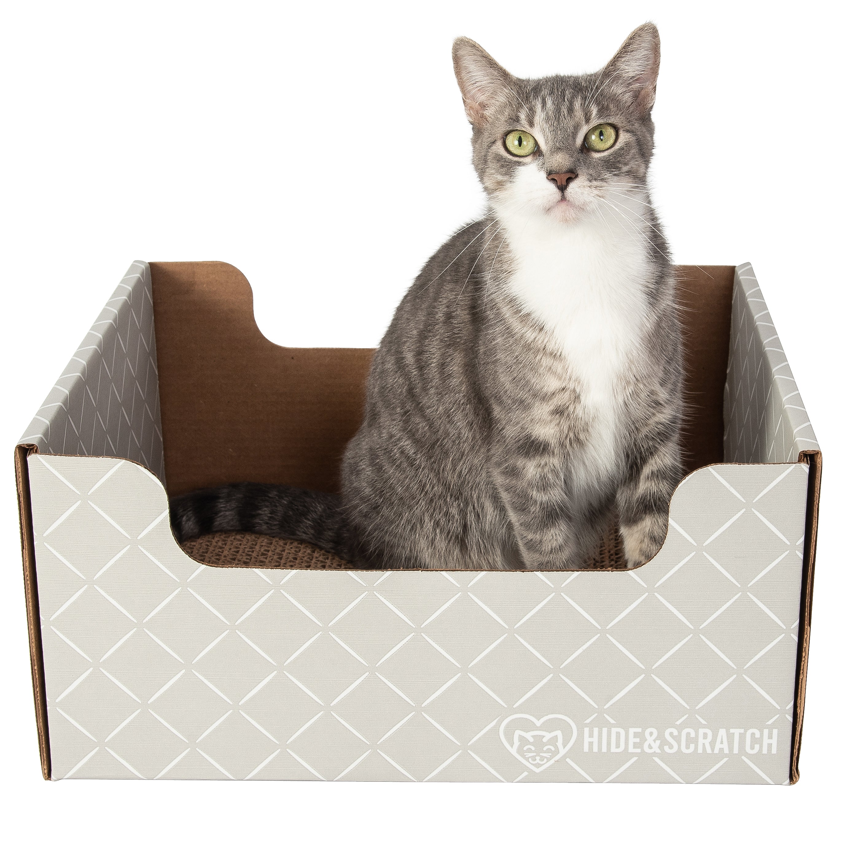 Hide & Scratch Extra-Large Cat Scratcher Box-6