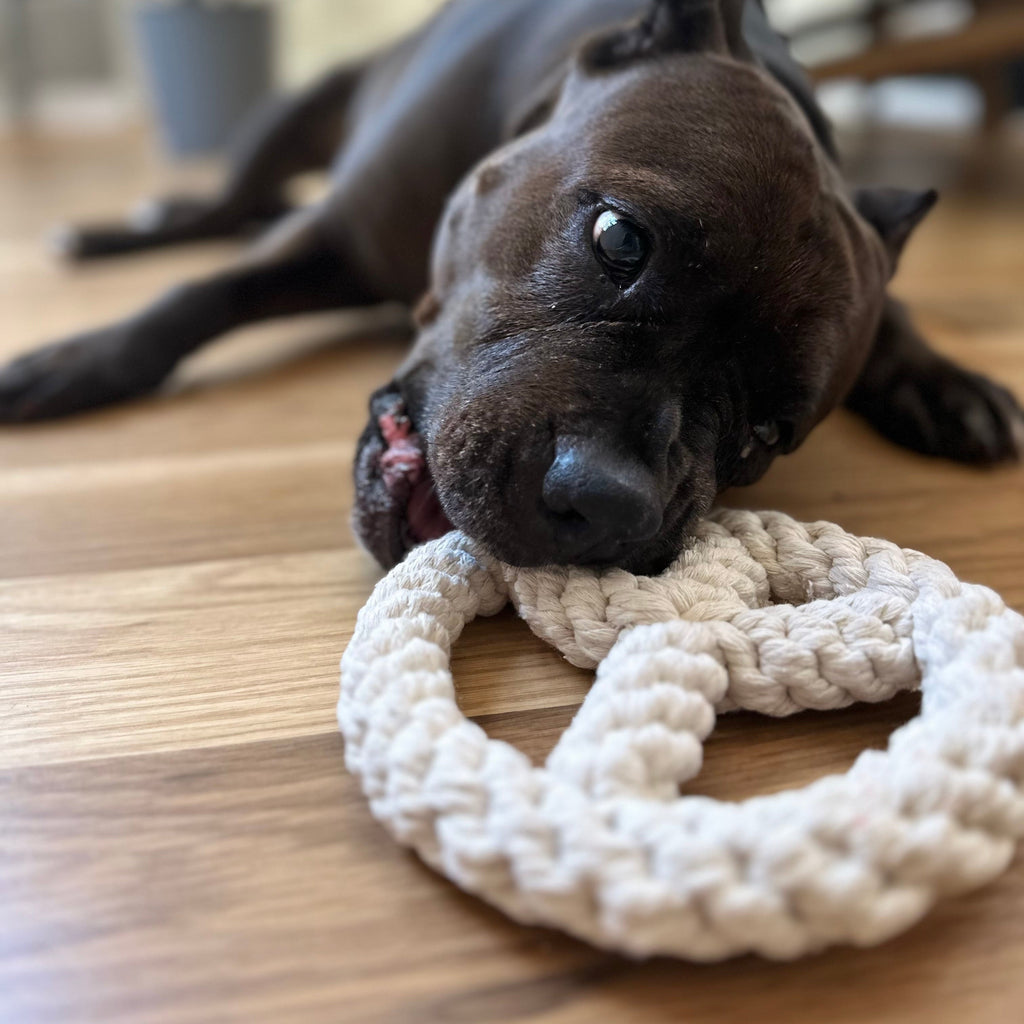 Peace White Wheel Dog Toy-2