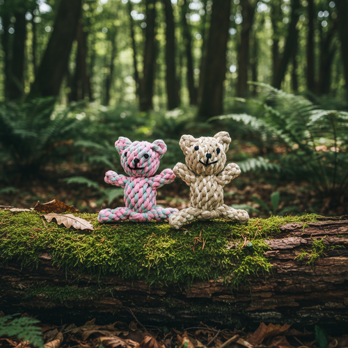 The  Bear Buddies Pet Toy-1